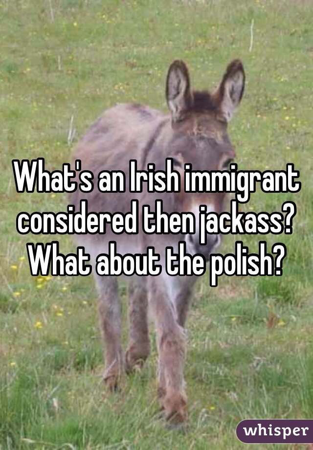 What's an Irish immigrant considered then jackass? What about the polish? 