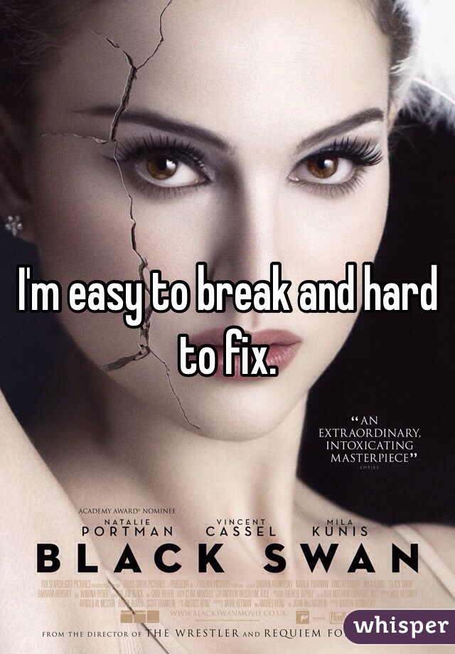 I'm easy to break and hard to fix. 