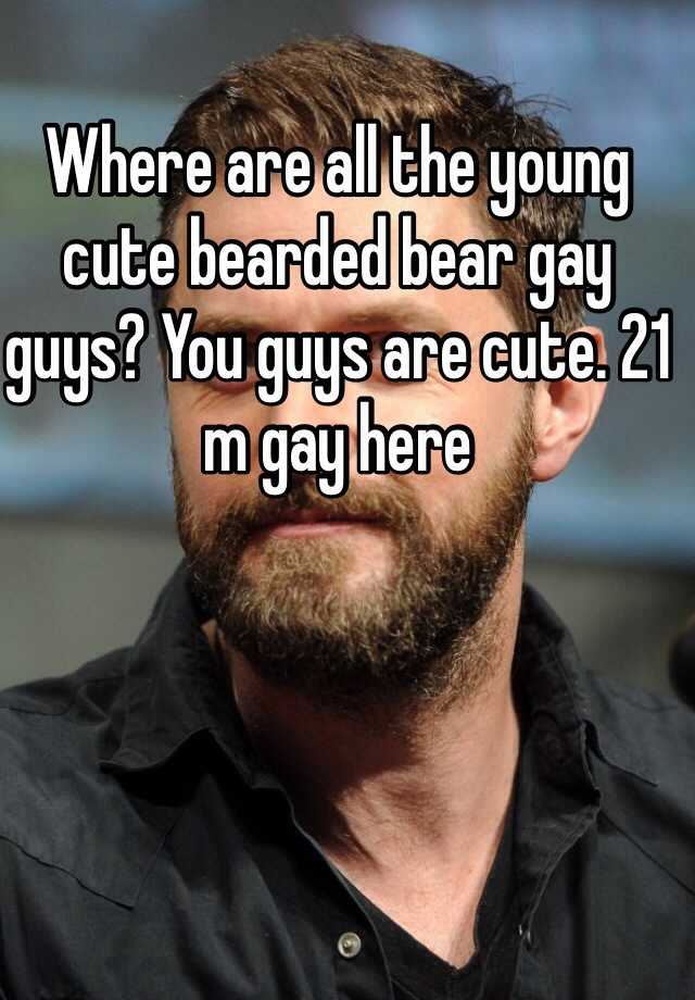Where Are All The Young Cute Bearded Bear Gay Guys You Guys Are Cute 21 M Gay Here