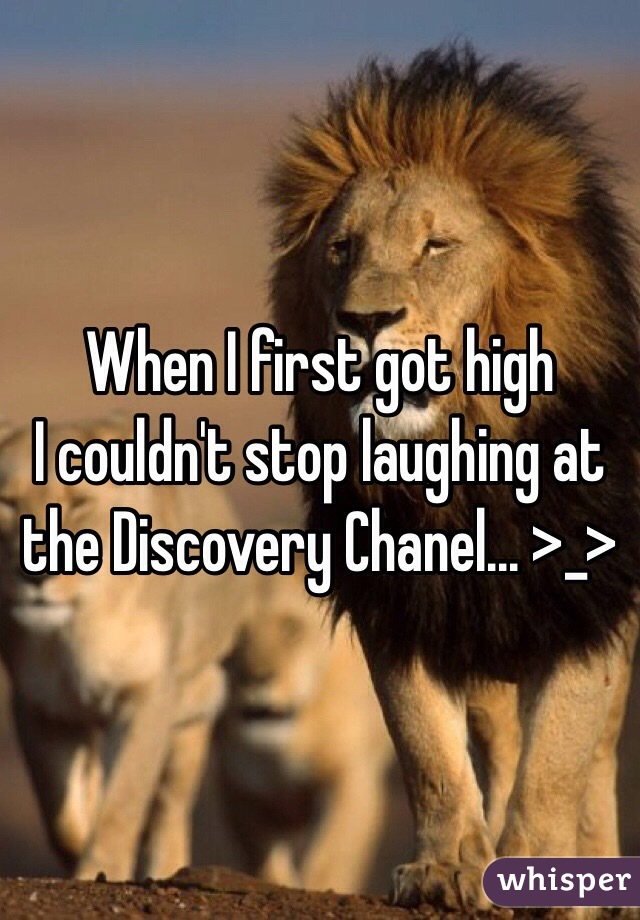 When I first got high
I couldn't stop laughing at the Discovery Chanel... >_>