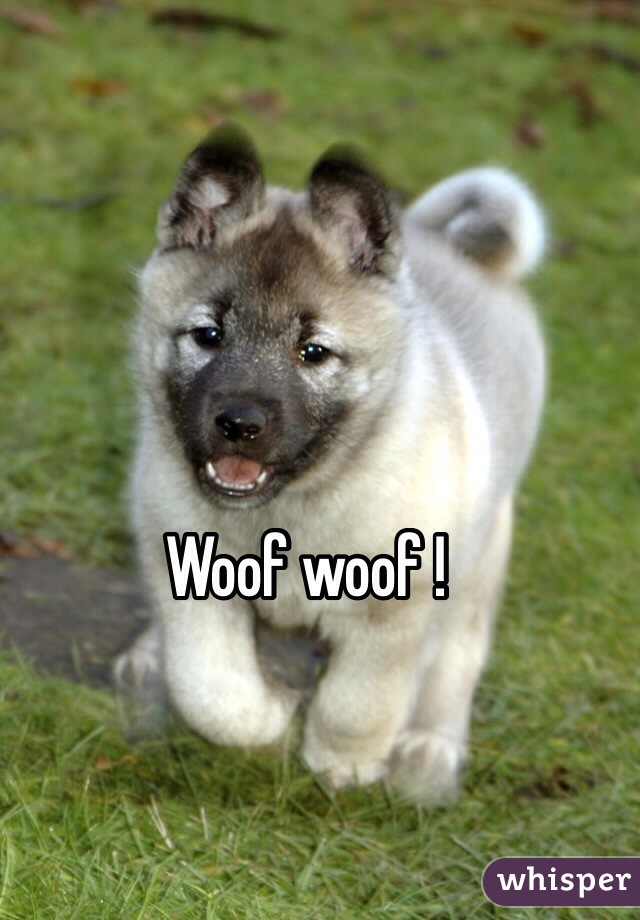 Woof woof !