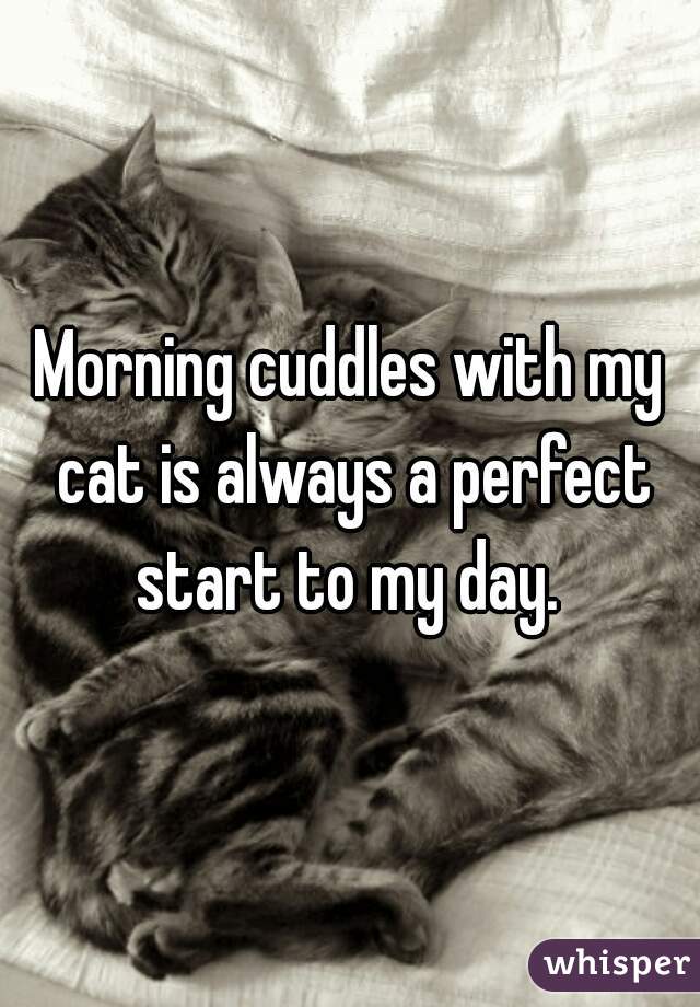 Morning cuddles with my cat is always a perfect start to my day. 