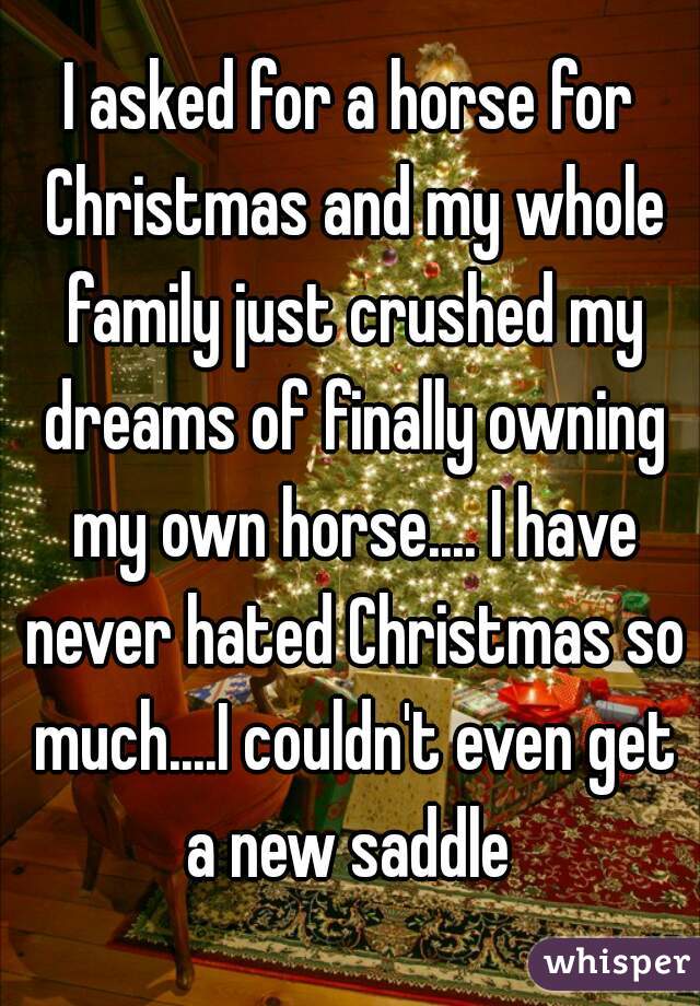 I asked for a horse for Christmas and my whole family just crushed my dreams of finally owning my own horse.... I have never hated Christmas so much....I couldn't even get a new saddle 