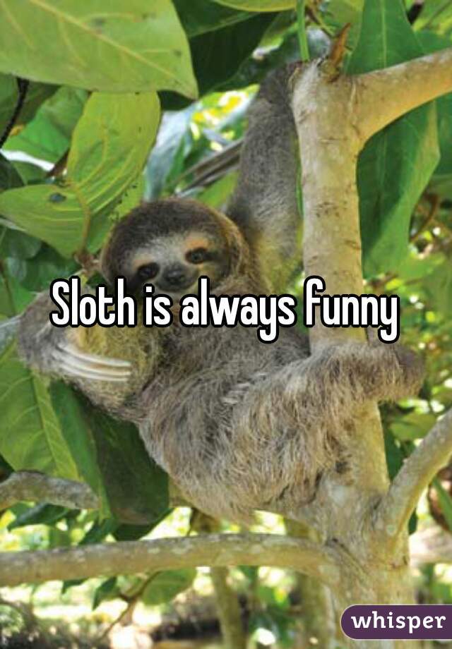 Sloth is always funny