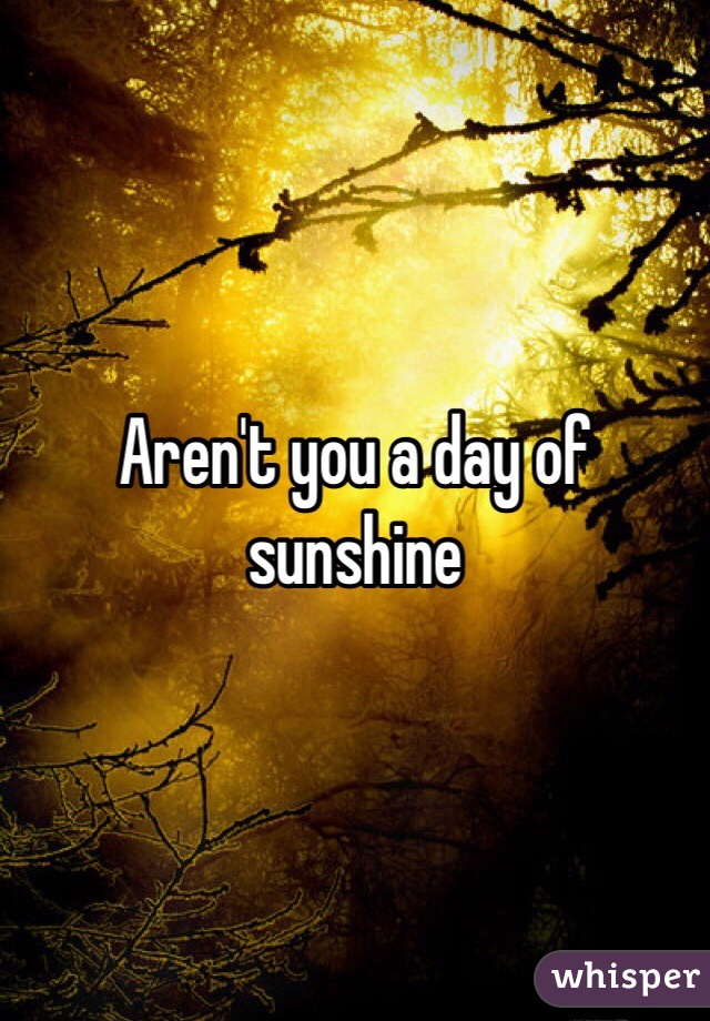 Aren't you a day of sunshine