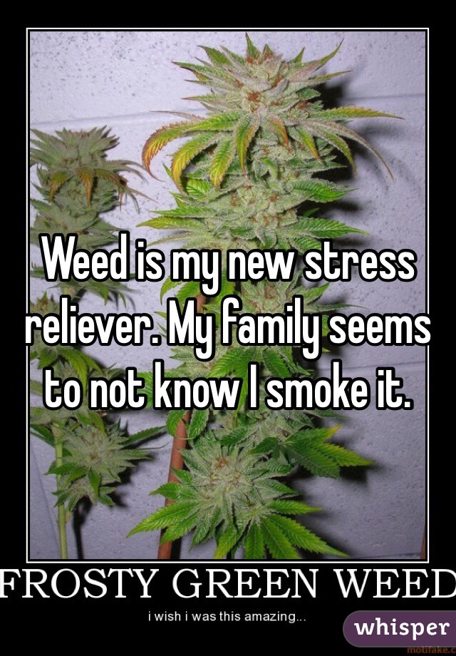 Weed is my new stress reliever. My family seems to not know I smoke it.