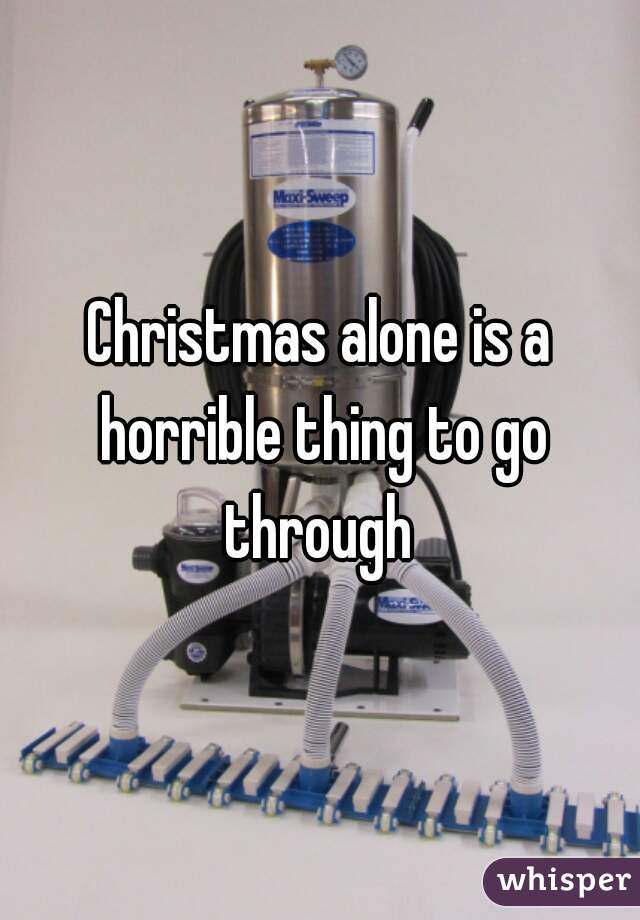 Christmas alone is a horrible thing to go through 