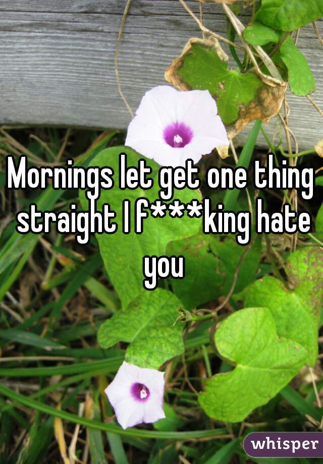 Mornings let get one thing straight I f***king hate you