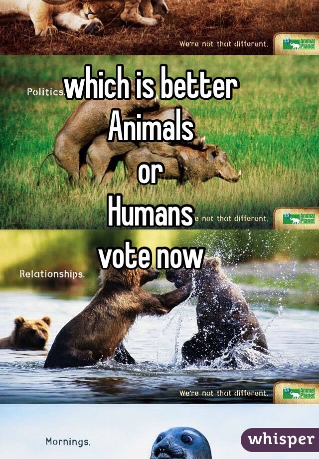 which is better 
Animals
or 
Humans 
vote now