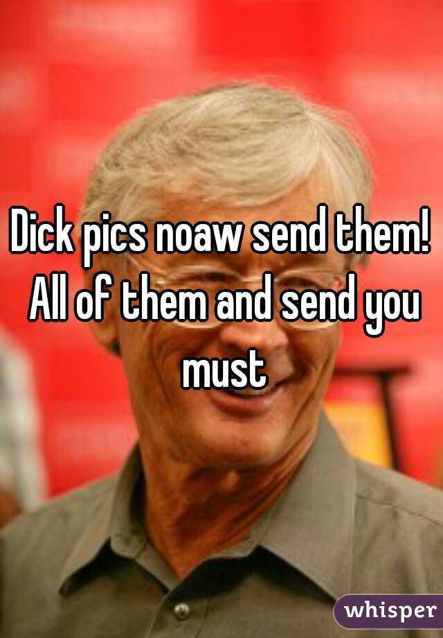 Dick pics noaw send them! All of them and send you must