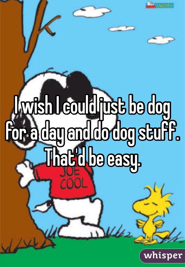 I wish I could just be dog for a day and do dog stuff. That'd be easy. 