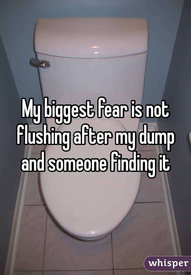 My biggest fear is not flushing after my dump and someone finding it