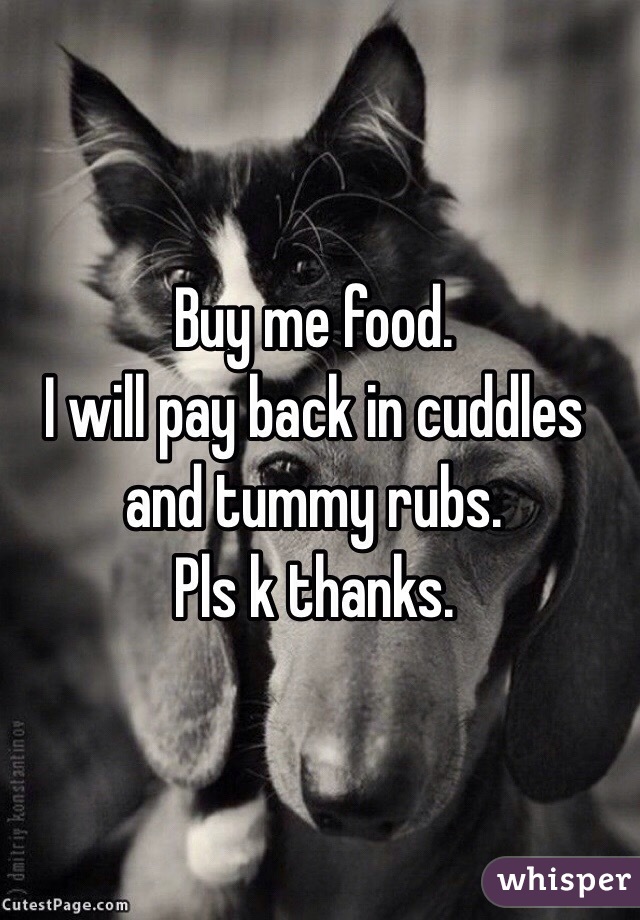 Buy me food. 
I will pay back in cuddles and tummy rubs. 
Pls k thanks. 