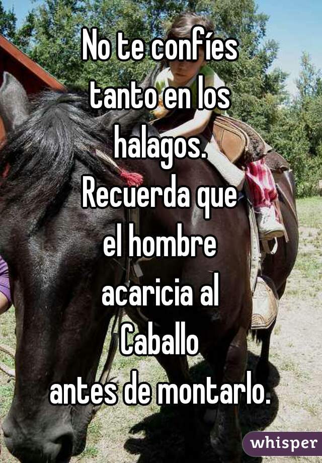 No te confíes
tanto en los
halagos.
Recuerda que
el hombre
acaricia al
Caballo
antes de montarlo.