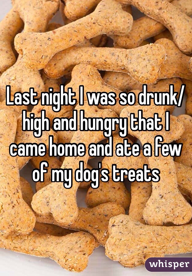 Last night I was so drunk/high and hungry that I came home and ate a few of my dog's treats 