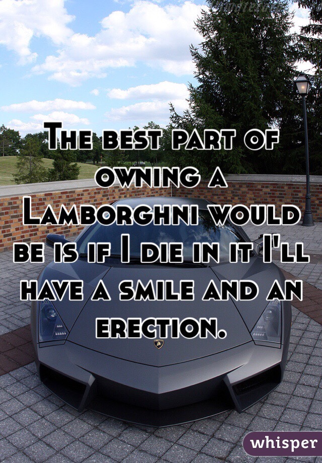 The best part of owning a Lamborghni would be is if I die in it I'll have a smile and an erection. 