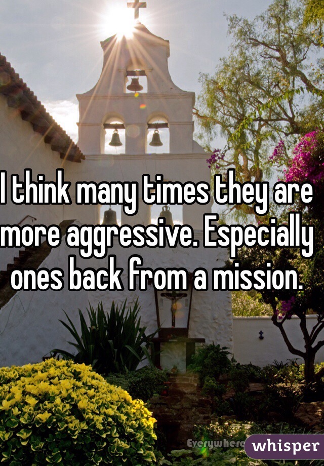 I think many times they are more aggressive. Especially ones back from a mission. 