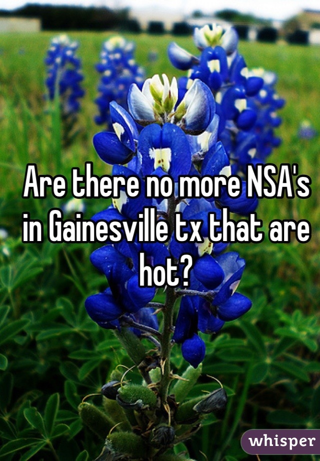 Are there no more NSA's in Gainesville tx that are hot?