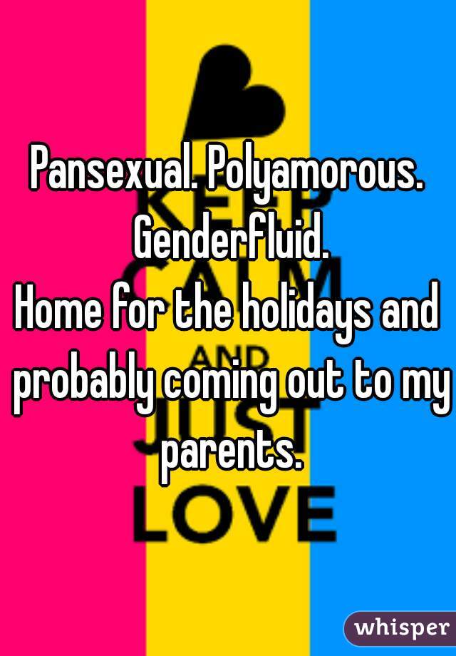 Pansexual. Polyamorous. Genderfluid.
Home for the holidays and probably coming out to my parents.