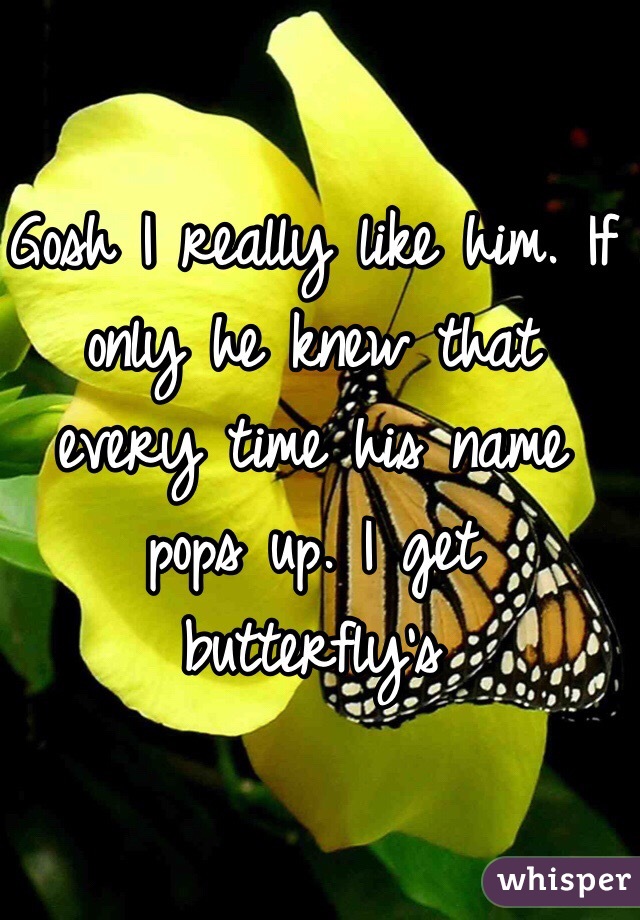 Gosh I really like him. If only he knew that every time his name pops up. I get butterfly's 