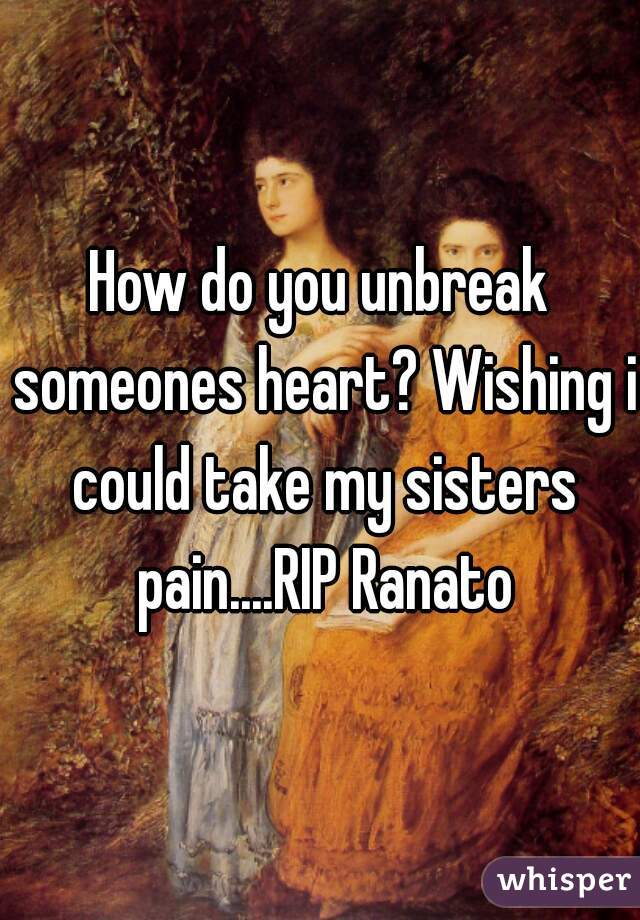 How do you unbreak someones heart? Wishing i could take my sisters pain....RIP Ranato