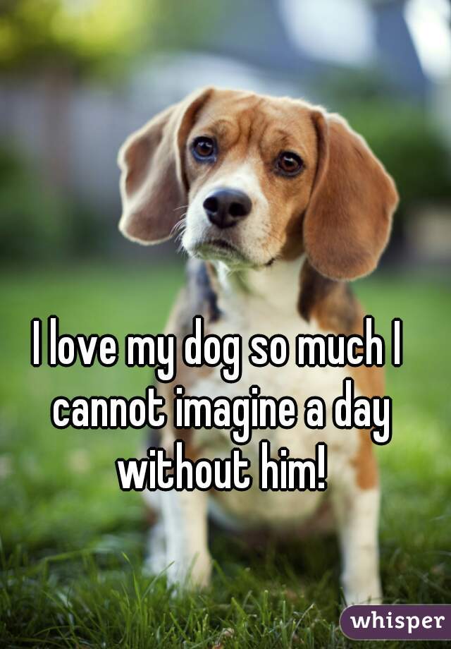 I love my dog so much I cannot imagine a day without him!