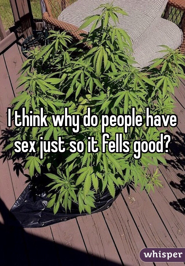 I think why do people have sex just so it fells good?