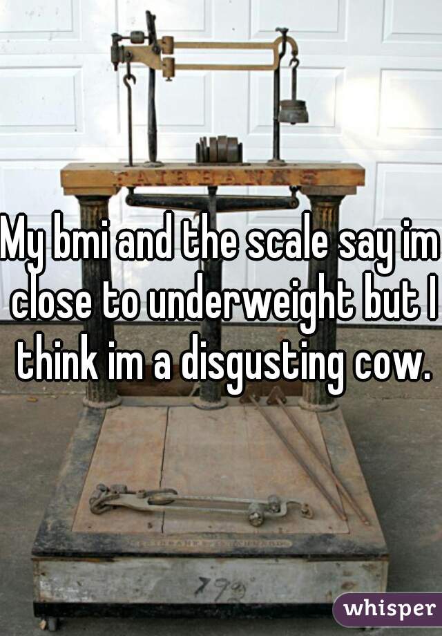 My bmi and the scale say im close to underweight but I think im a disgusting cow.