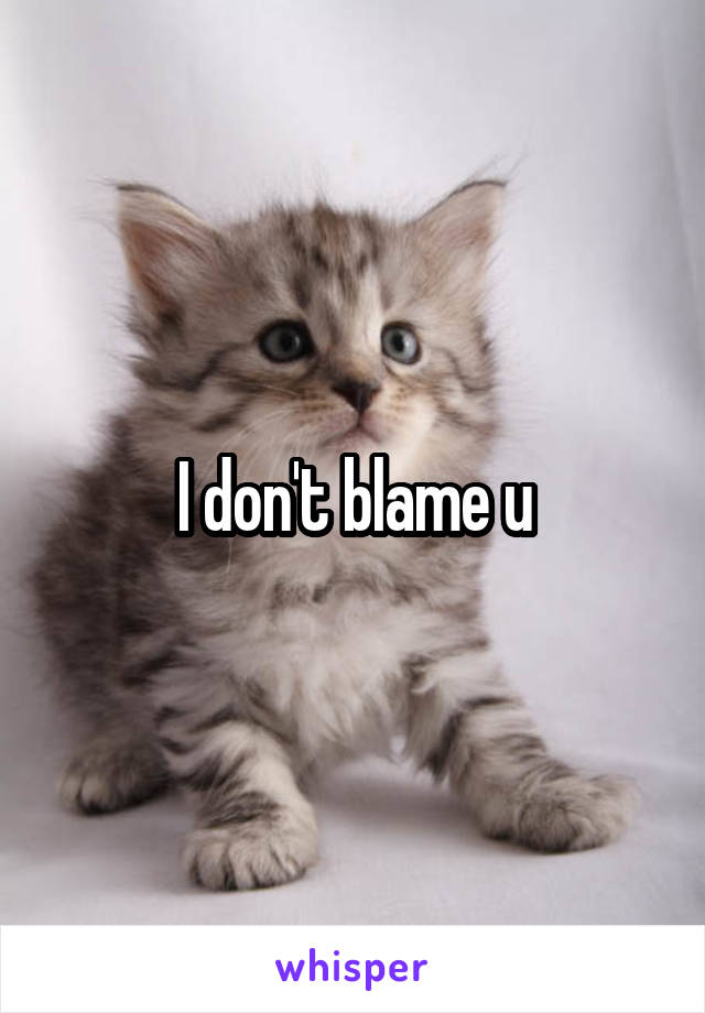 I don't blame u