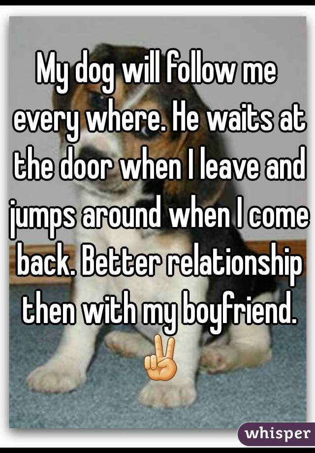 My dog will follow me every where. He waits at the door when I leave and jumps around when I come back. Better relationship then with my boyfriend. ✌