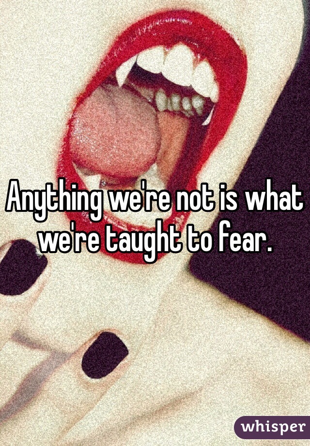 Anything we're not is what we're taught to fear.