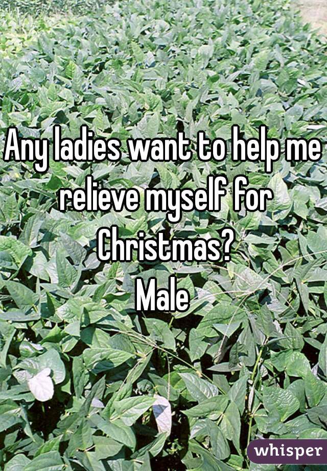 Any ladies want to help me relieve myself for Christmas?
Male