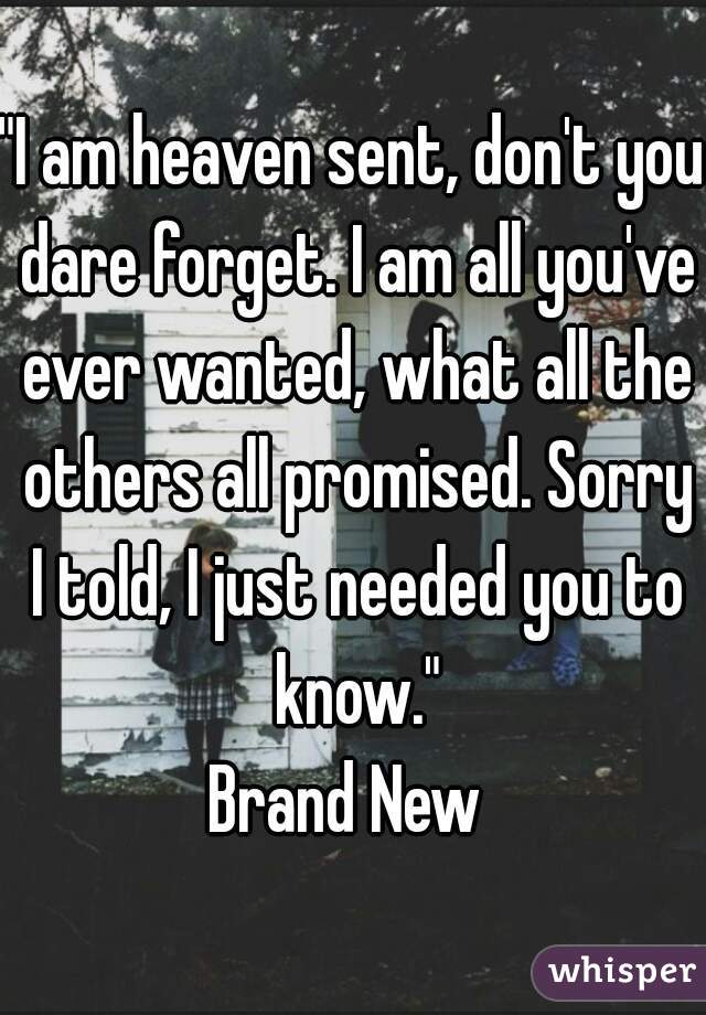 "I am heaven sent, don't you dare forget. I am all you've ever wanted, what all the others all promised. Sorry I told, I just needed you to know."
Brand New 