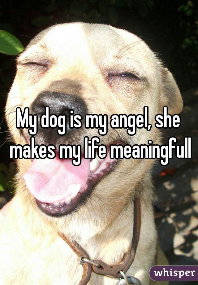 My dog is my angel, she makes my life meaningfull