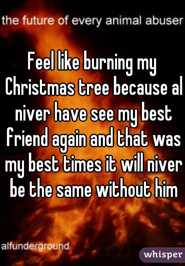 Feel like burning my Christmas tree because al niver have see my best friend again and that was my best times it will niver be the same without him