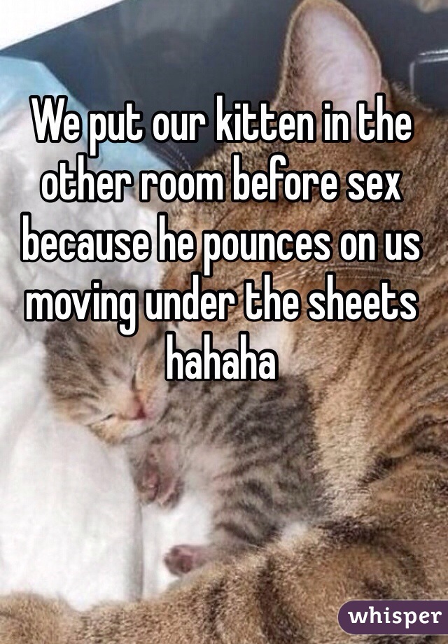 We put our kitten in the other room before sex because he pounces on us moving under the sheets hahaha