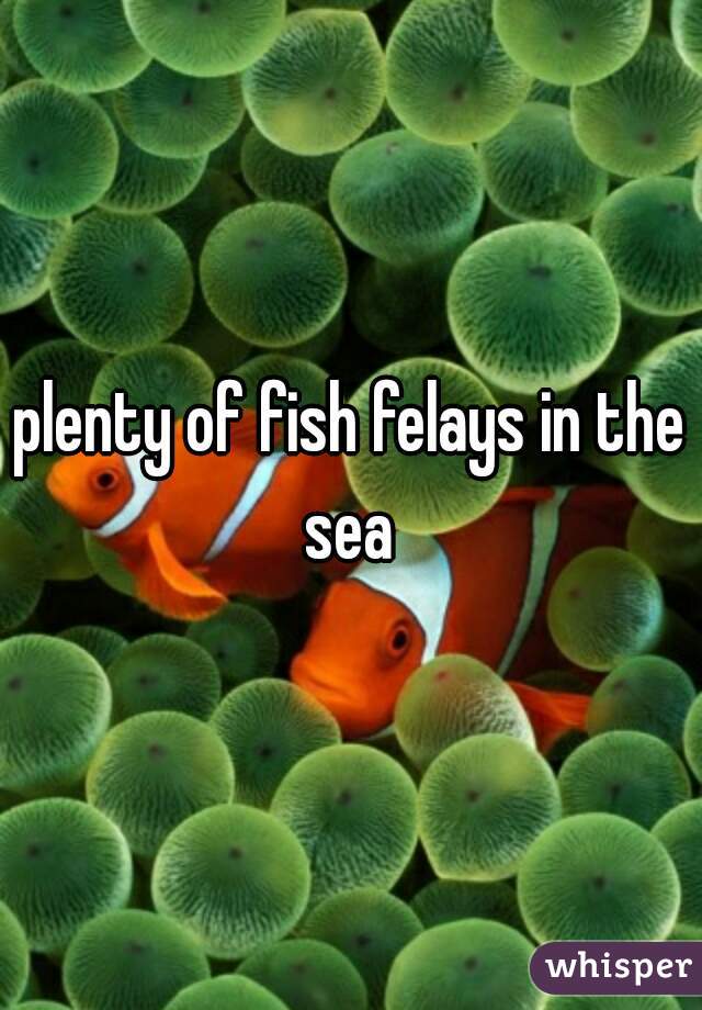 plenty of fish felays in the sea 