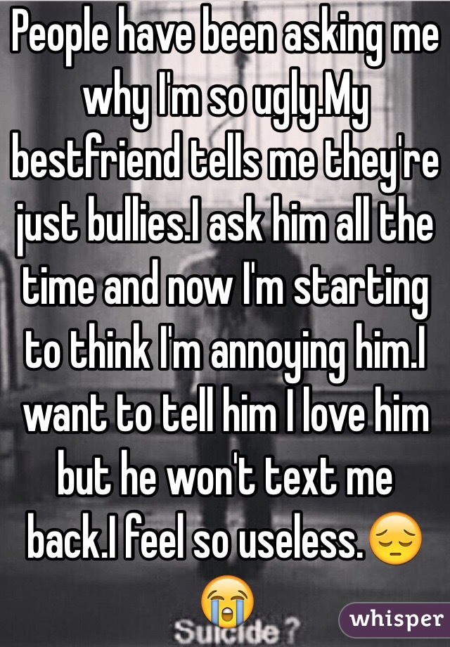 People have been asking me why I'm so ugly.My bestfriend tells me they're just bullies.I ask him all the time and now I'm starting to think I'm annoying him.I want to tell him I love him but he won't text me back.I feel so useless.😔😭