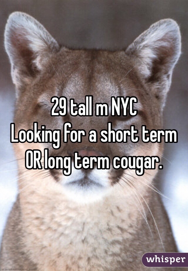 29 tall m NYC 
Looking for a short term OR long term cougar. 