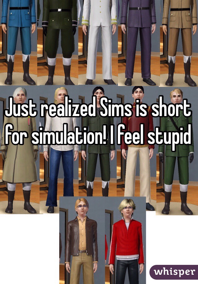 Just realized Sims is short for simulation! I feel stupid