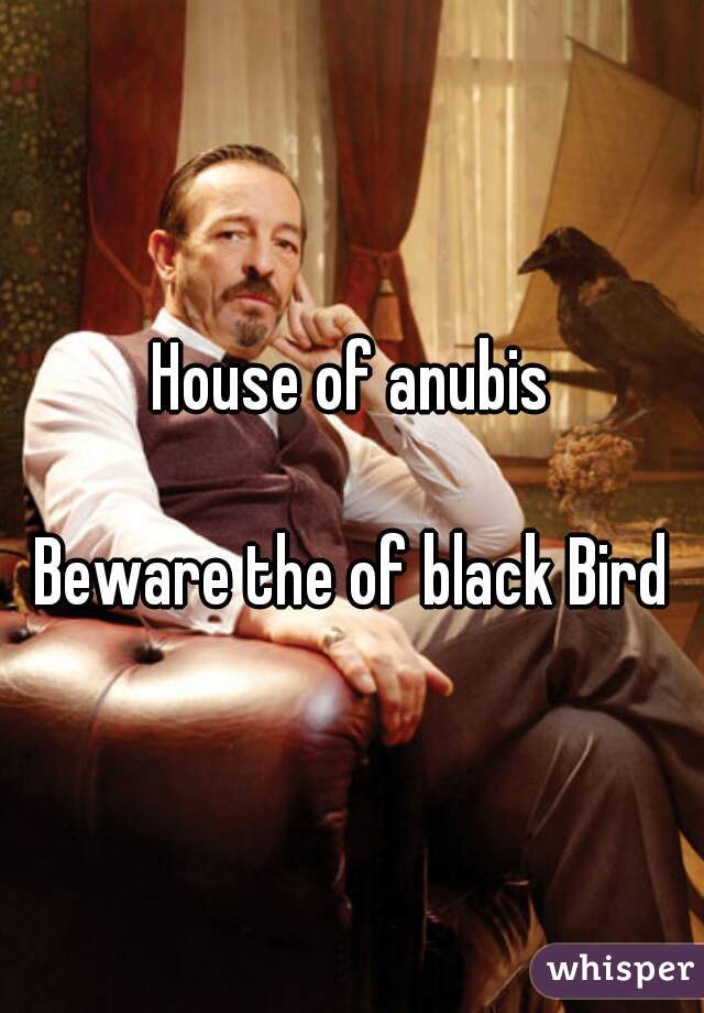 House of anubis

Beware the of black Bird