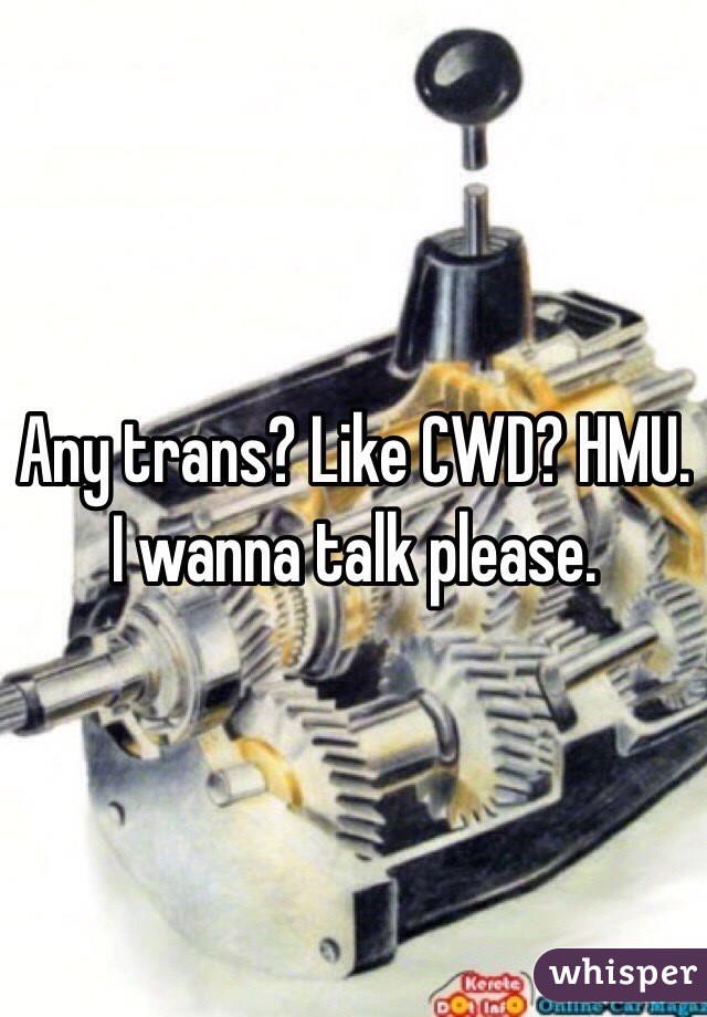 Any trans? Like CWD? HMU. I wanna talk please. 