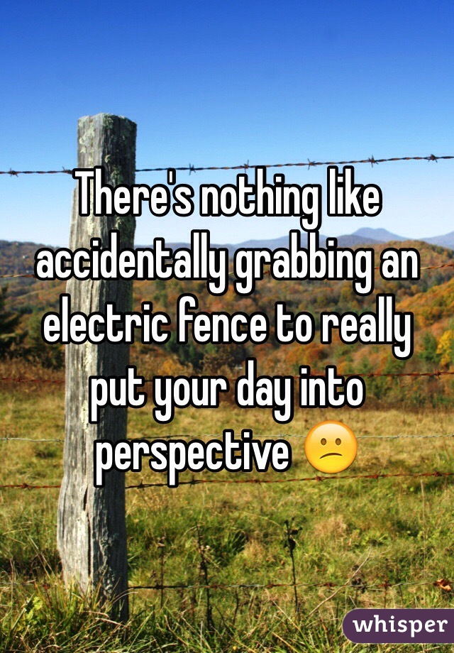 There's nothing like accidentally grabbing an electric fence to really put your day into perspective 😕