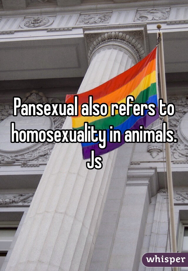 Pansexual also refers to homosexuality in animals. Js