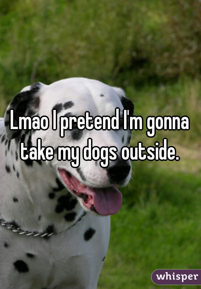 Lmao I pretend I'm gonna take my dogs outside. 