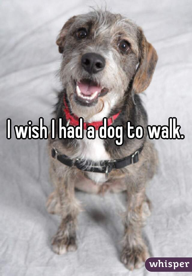 I wish I had a dog to walk.