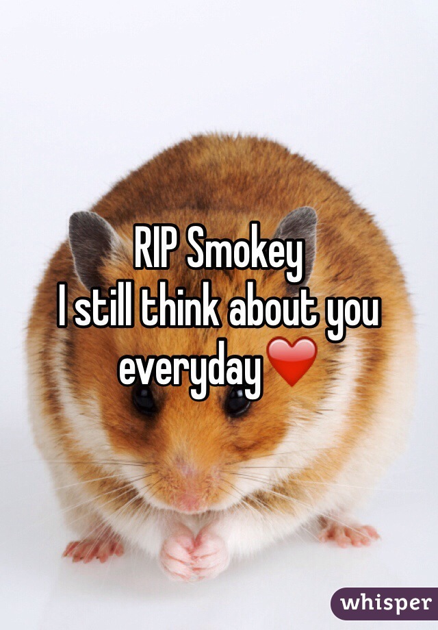 RIP Smokey
I still think about you everyday❤️