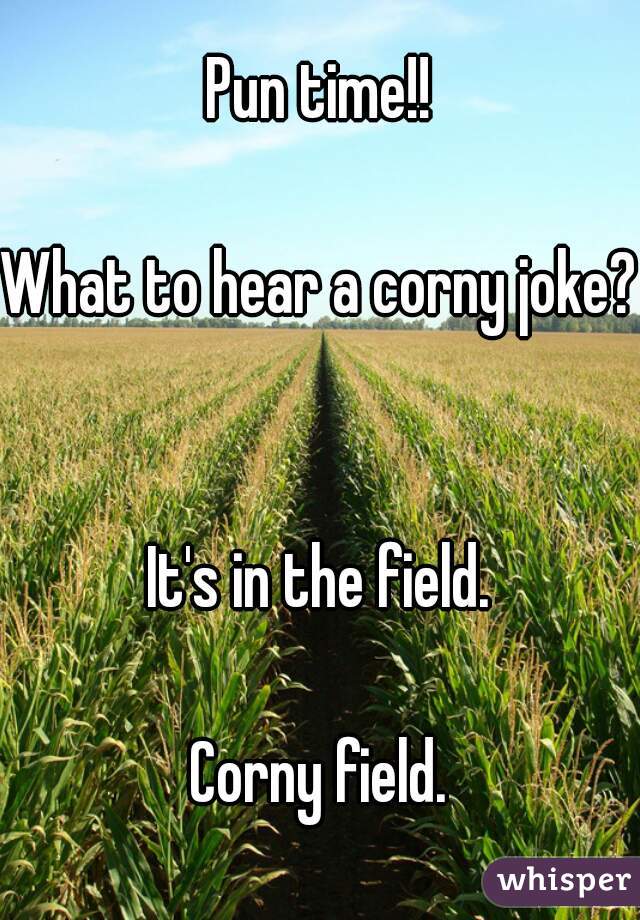 Pun time!!

What to hear a corny joke?


It's in the field.

Corny field.