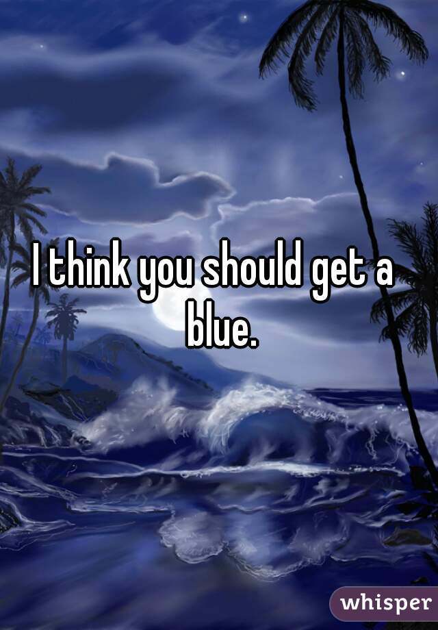 I think you should get a  blue.