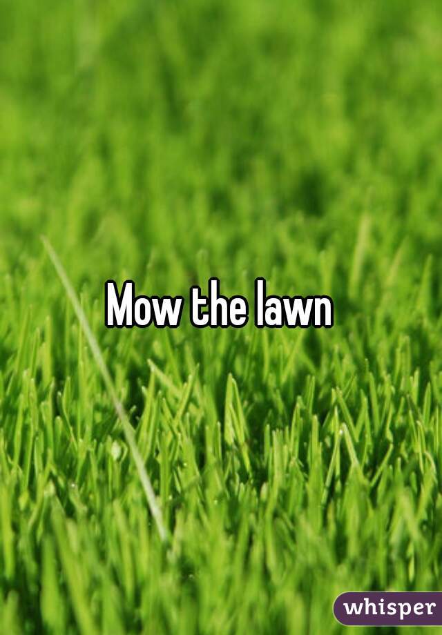 Mow the lawn